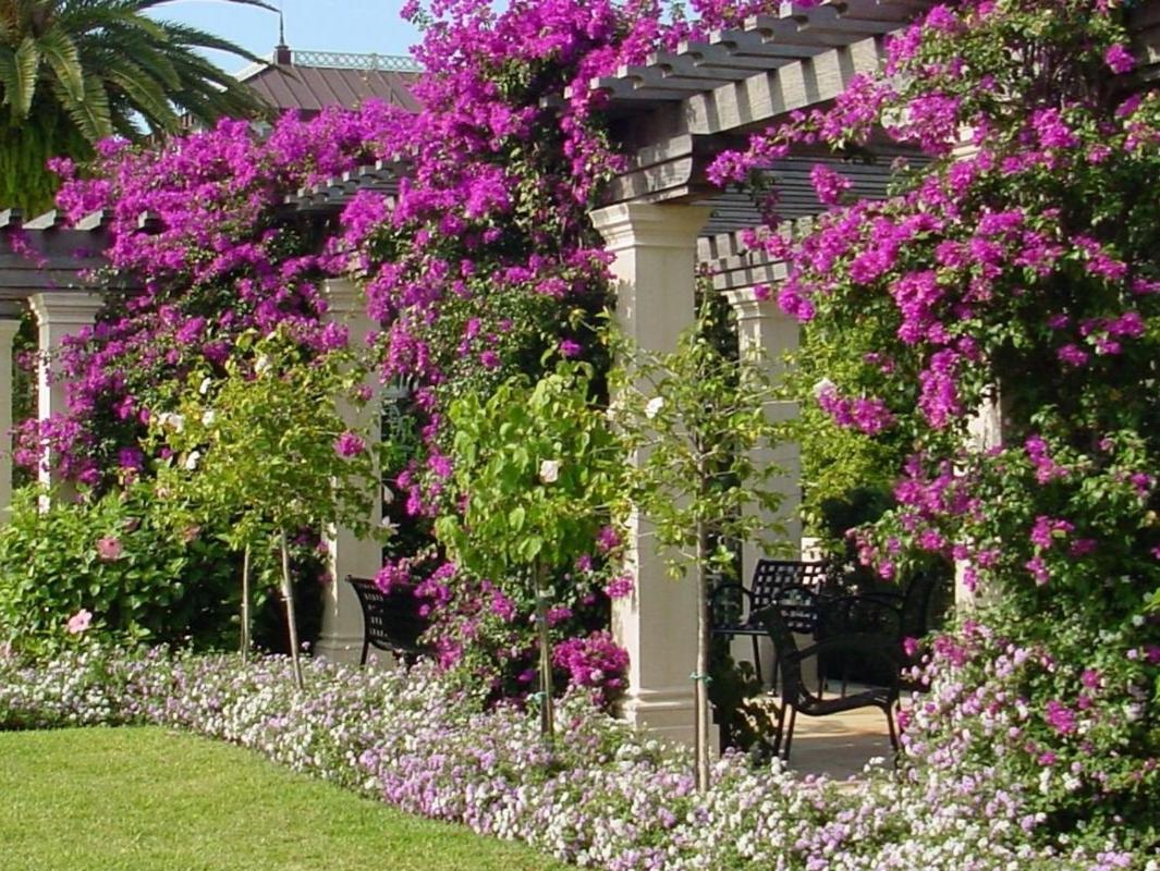 Hemingway Suites At Palm Beach Hotel Island Exterior photo